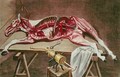 Dissection of a horse from Cours dHippiatrique ou Traite Complet de la Medecine des Chevaux - (after) Harguinier