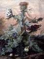 Insects Around a Thistle - Margaretha Barbara Dietzsch