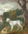 Bumper a Bull Terrier - Thomas Gainsborough