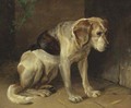 A hound - Henry Weekes