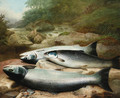 Three Salmon on a Rocky Riverbank - John Russell