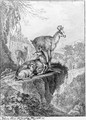 Chamois in a rocky wooded Landscape - Johann Elias Ridinger or Riedinger