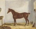 A chestnut hunter in a stable - William Webb