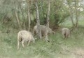 Sheep in a Meadow - Anton Mauve
