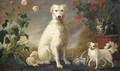 Two dogs and two cats in a landscape with flowers - (after) Martin Ferdinand Quadal