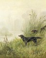 Setters in the marshes - Charles R. Reyne