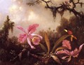 Orchids And Crimson Topaz Hummingbird - Martin Johnson Heade