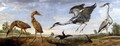 Bitterns, Herons and Water Rails in a Landscape - Paul de Vos