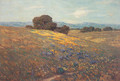 Poppies and Lupines - Granville Redmond