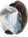 The Falls of Niagara, from Phenomena of Nature, 1849 - Josiah Wood Whymper