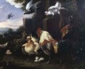 A cockerel and other fowl in a landscape - Melchior de Hondecoeter