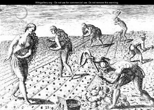 Florida Indians planting maize - (after) Le Moyne, Jacques (de Morgues)
