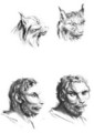 Similarities between the heads of a lynx and a man - (after) Le Brun, Charles