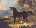 Dark Bay Racehorse in Landscape - John Frederick Herring Snr