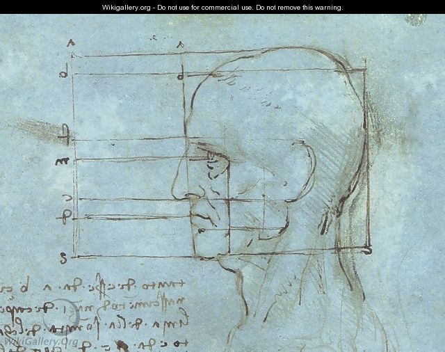 Blue Head - Leonardo Da Vinci - WikiGallery.org, the largest gallery in ...
