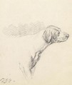 Study of a Hound 1794 - George Morland