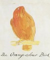 The Orange Colour Bird - Edward Lear