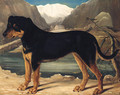 A Mountain Dog in an Alpine Landscape - German School