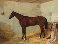 A Bay Racehorse in a Stable 2 - Harry Hall