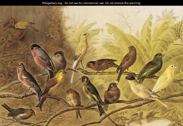A chorus of song birds in an aviary - Henry Bright