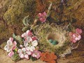 Primulas and a bird's nest with eggs on a mossy bank - George Clare