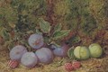 Plums, raspberries and greengages on a mossy bank - George Clare