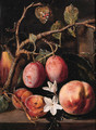 Plums, apricots on a twig - Peeter Snijers