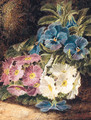 Pansies and Primulas, on a mossy Bank - Oliver Clare