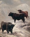 Highland Cattle On The Hills - Charles Jones