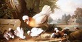 Poultry and Pigeons in a Landscape - (after) Boggi, Giovanni
