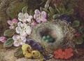 Apple blossom, pansies and a bird's nest with eggs on a mossy bank - Vincent Clare