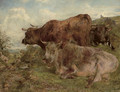 Highland cattle - William Huggins