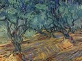 Olive Grove Bright Blue Sky 1889 - Vincent Van Gogh