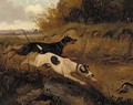 A doberman pinscher and a great dane chasing a rabbit - (after) George Armfield