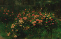 The rose garden - Antoine Grivolas