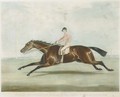 Conolly on Coronation, winner of the Derby Stakes on Epsom 1841 - (after) Francis Calcraft Turner