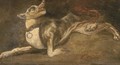 A hound a fragment - (after) Frans Snyders