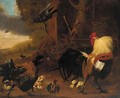 Two cockerels, chicks and other birds in a landscape - (after) Melchior De Hondecoeter