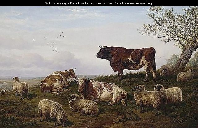 Cattle And Sheep Resting - Charles Jones