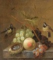 A Still Life Of Grapes, A Peach And A Dragonfly, Together With Blue Tits - (after) Johannes Hendrick Fredriks