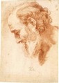 Study Of The Head Of A Bearded Man - (after) Loo, Carle van