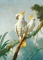 A Pair Of Sulphur-Crested Cockatoos - (after) Jacques Barraband