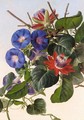 Passionflowers And Hummingbird - (after) Johann Laurentz Jensen