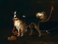 Ritratto Di Spaniel Con Collare Rosso - Giacomo Ceruti (Il Pitocchetto)