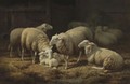 Sheep In The Stable - Theo van Sluys