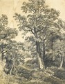 A Wooded Landscape, East Bergholt - John Constable