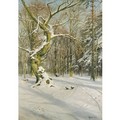 Tracks Through The Forest - Peder Monsted