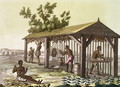 Slaves preparing tobacco, Virginia, America, c.1790, from 'Le Costume Ancien et Moderne' - G. Bramati