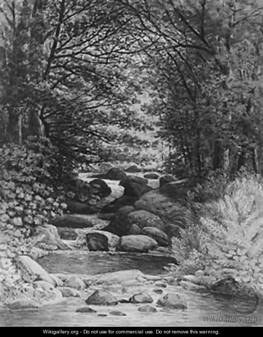 A Forest Cascade at Hiram, Maine - Henry Hitchings