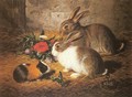 Escaped: Two Rabbits and a Guinea Pig - Alfred R. Barber